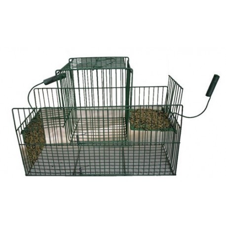 Construire Une Cage à Oiseau Facilement
