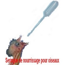 Ampoule de rechange 15W-E14 pour les couveuses 7 oeufs COVATUTTO