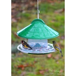 Mangeoire 2kg a trou pour les oiseaux, canaris