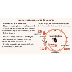 Androlis® XXL - anti-poux rouges naturel