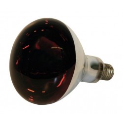 Ampoule Infrarouge verre trempé - 250W