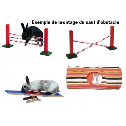 Kit de jeu pour lapin nain