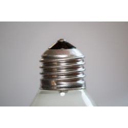 Ampoule de rechange 60W-E27 pour couveuse 12 oeufs