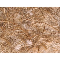 Fibre - Bourre Coco - Sisal - Jute et Coton - 100g