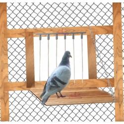 Clapette pour pigeons en aluminium pour les spoutnicks
