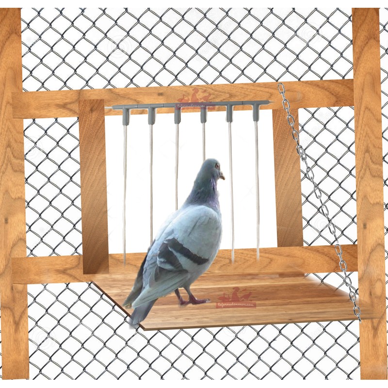 Clapette pour pigeons en aluminium pour les spoutnicks