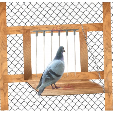 Clapette pour pigeons