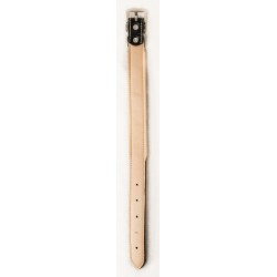 Collier pour chien en simili cuir 36cm x 2.0cm