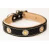 Collier pour chien en simili cuir 36cm x 2.0cm