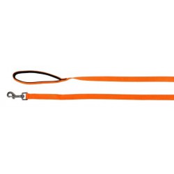 Laisse de recherche 10m x 20mm