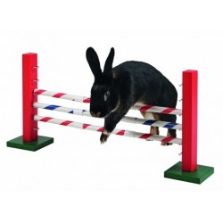 Agility Obstacle - JEU pour lapin