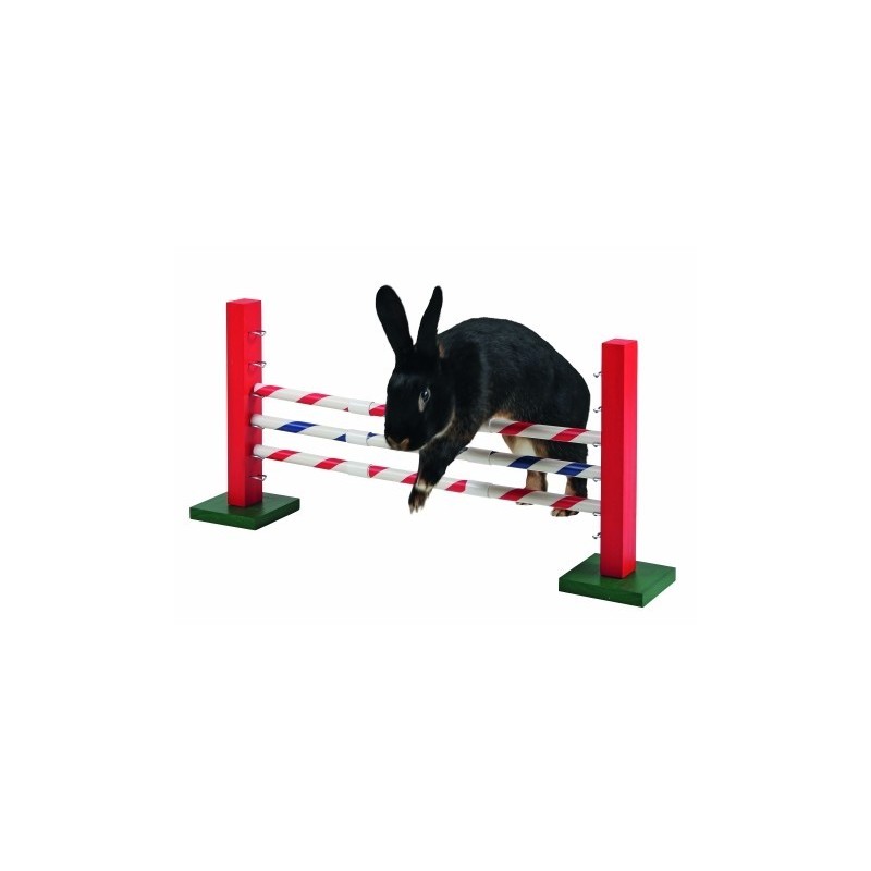 Agility obstacle haie - Jeu pour lapin - La Ferme de Manon