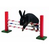 Agility Obstacle - JEU pour lapin