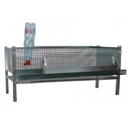 Cage caille pondeuse avec abreuvoir  