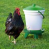 Abreuvoir poule 18 litres sur pied