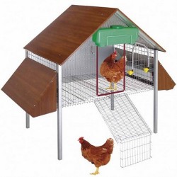 Poulailler Pour Poule Ou Abris à Poule Transport Offert La Ferme