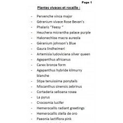 Quelques exemples de plantes vivaces et rocailles