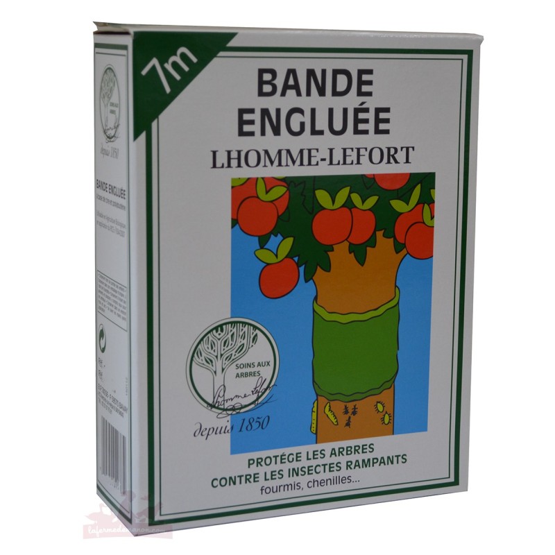 Bande engluée, anti-insecte - Longueur de 7m