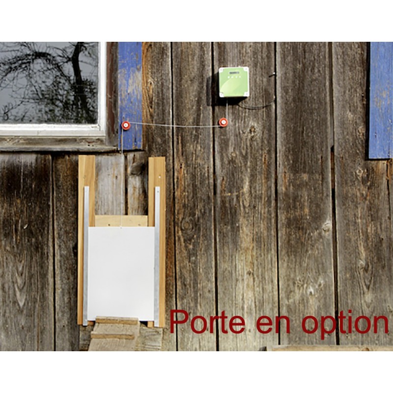 Porte Automatique Poule
