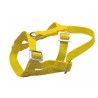 Licol cuir pour brebis et bélier