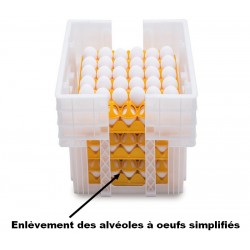 Caisse plastique 180 oeufs (6 alvéoles de 30 oeufs)