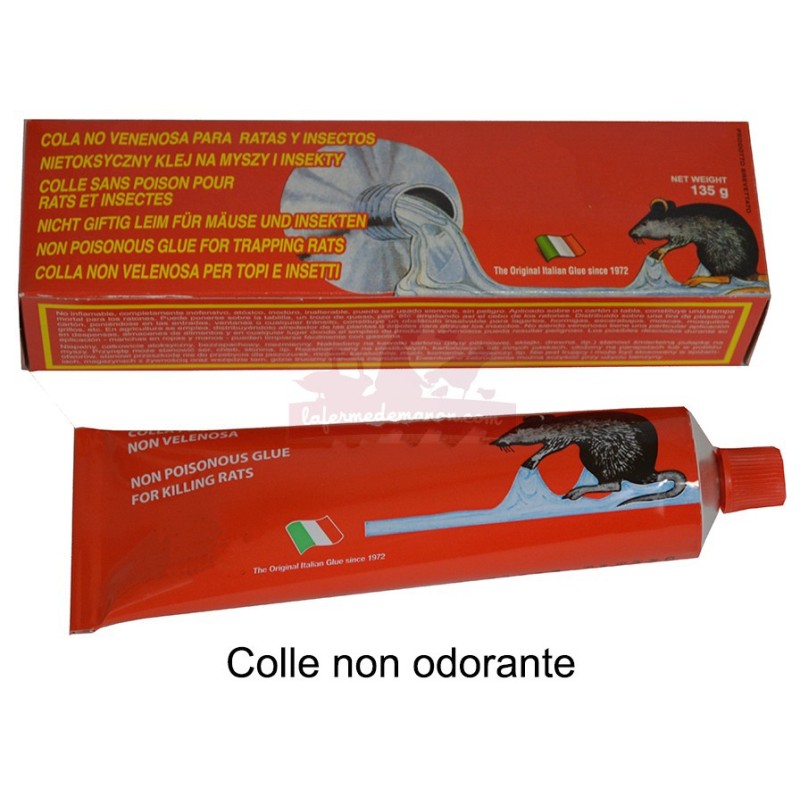 Colle Anti rats et souris non toxique