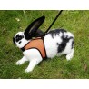 Harnais agility pour lapin ou cochon d'indes