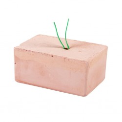 Bloc minéraux - bloc vitamine - calcium -  bloc mineral oiseaux