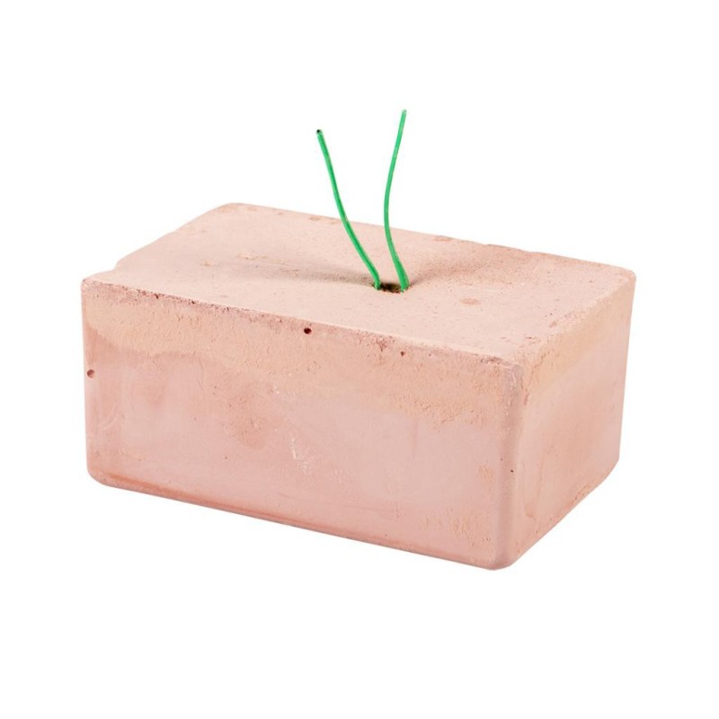 Bloc minéraux - bloc vitamine - calcium - bloc mineral oiseaux Bloc minéraux - bloc vitamine - calcium - bloc mineral oiseaux