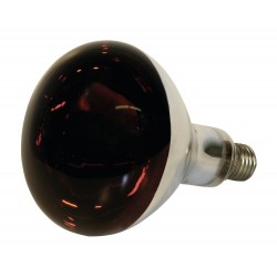 lampe poussin - ampoule chauffante poussin - ampoule infrarouge - lampe infrarouge pour eleveuse