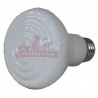 AMPOULE CERAMIQUE / PORCELAINE 150W