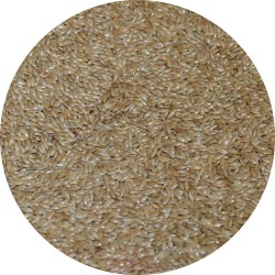 Graines d'Alpiste / Millet plat EXPERT- 20kg