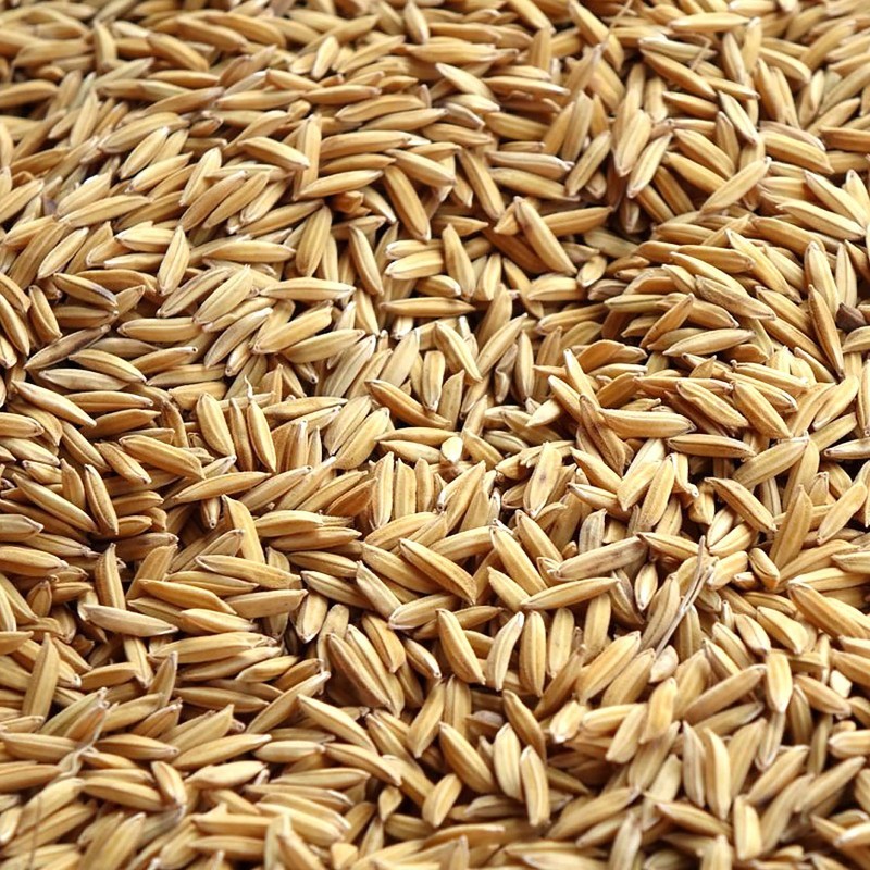 Riz paddy, sac de 20kg - la Ferme de Manon