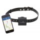 Collier de localisation GPS pour chiens et chats