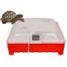 Couveuse, éleveuse Tortue de Terre
