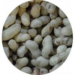 arachide entière - arachide avec coque - cacahuète 