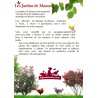 Végétaux