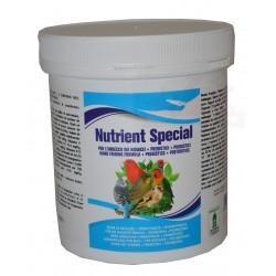Nutrient - Becquée des oisillons - Pré et Probiotiques