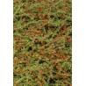 Cotoneaster rampant -  COTONEASTER dammeri 