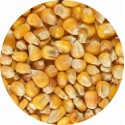 Maïs en grains entiers - Sac de 20kg