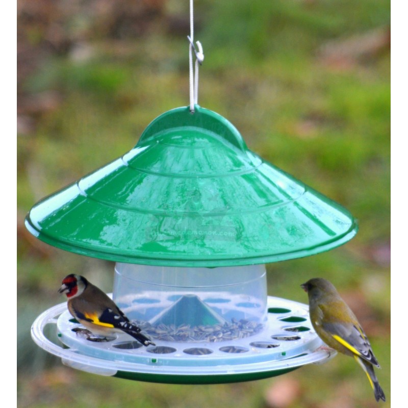 Toit Amovible Bois Et Matière Plastique, Mangeoire à Oiseaux, Mangeoire à  Oiseaux Suspendue, Perruches Pour Oiseaux 