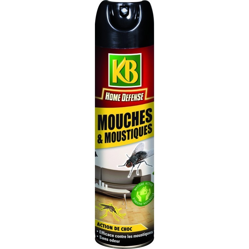 bombe aérosol - moustique - mouche - spray anti-mouche - spray insecticide volants - 