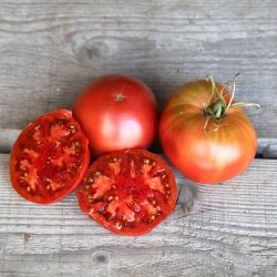 Tomate Noire de Crimée AB - Sachet de 50 graines