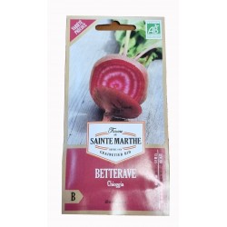 graine de betterave - jardin - graines - légumes - Beta vulgaris