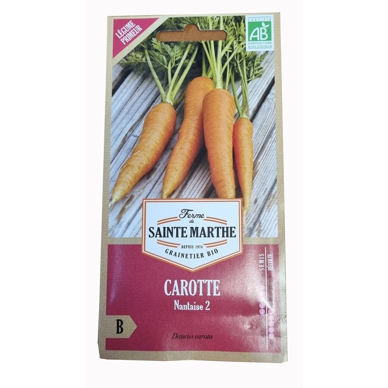 Graine de carotte - jardin - graines - légumes - Daucus carota