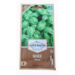 basilic - plante aromatique - jardin - graines - légumes - Ocimum basilicum