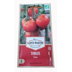 Graine de tomate - tomate - jardin - graines - légumes - Solanum Lycopersicum