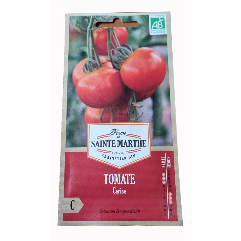 Graine de tomate - tomate - jardin - graines - légumes - Solanum Lycopersicum