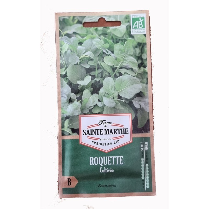 Graine de salade - graine de roquette - jardin - graines - légumes - Eruca sativa