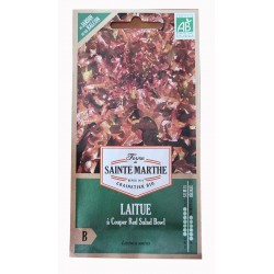 Graine de salade - graine de laitue - laitue rouge - jardin - graines - légumes - Lactuca sativa